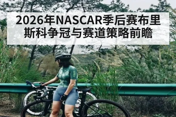 2026年NASCAR季后赛布里斯科争冠与赛道策略前瞻
