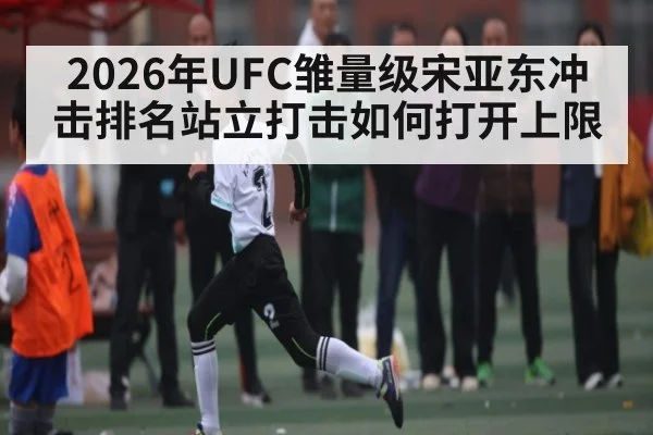 2026年UFC雏量级宋亚东冲击排名站立打击如何打开上限